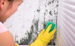 Küfün zararları neler, küf nasıl çıkar?