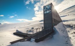 Dünyanın besin kasasına yeni numune