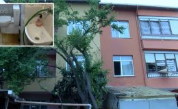 Ev sahibi kiracısının kanalizasyon giderini tıkadı