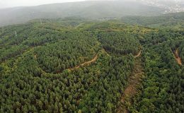 Ankara’da ormanlara giriş yasaklandı