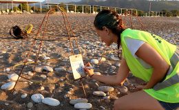 Çıralı’da son 30 yılın rekoru bekleniyor